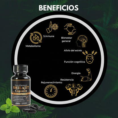 SHILAJIT PURE HIMALAYA 60 CAPSULAS